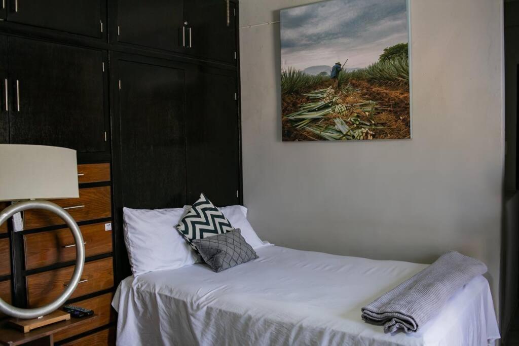 Hermoso Departamento Centrico Con Servicios Διαμέρισμα Tequila Εξωτερικό φωτογραφία